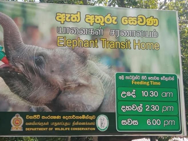 Udawalawe Wildlife & Nature Protection Bungalow ภายนอก รูปภาพ