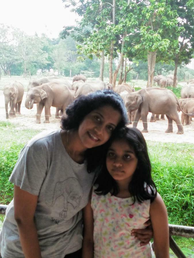 Udawalawe Wildlife & Nature Protection Bungalow ภายนอก รูปภาพ